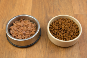 Wet Cat Food vs Dry Cat Food: Which Is Better for Your Cat?