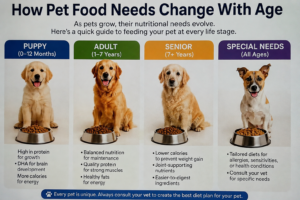 How Pet Food Needs Change With Age