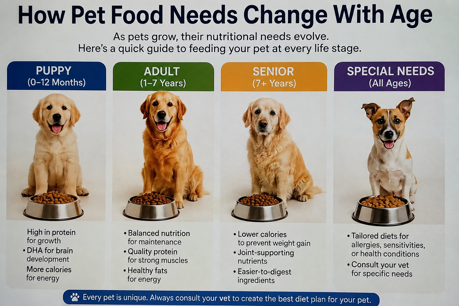 How Pet Food Needs Change With Age