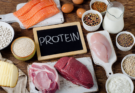 Importance of Protein in a Dog’s Diet