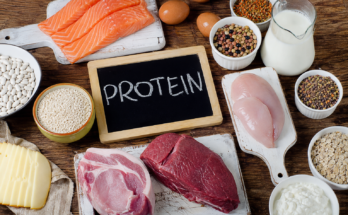 Importance of Protein in a Dog’s Diet