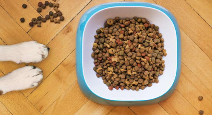 How to Read Dog Food Labels Before Buying