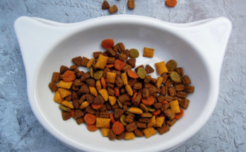 Choosing Food for Kittens Based on Their Growth Needs