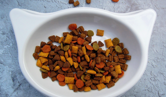 Choosing Food for Kittens Based on Their Growth Needs