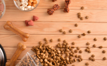 Common Pet Feeding Mistakes and How to Avoid Them