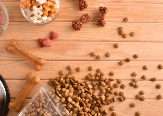 Common Pet Feeding Mistakes and How to Avoid Them