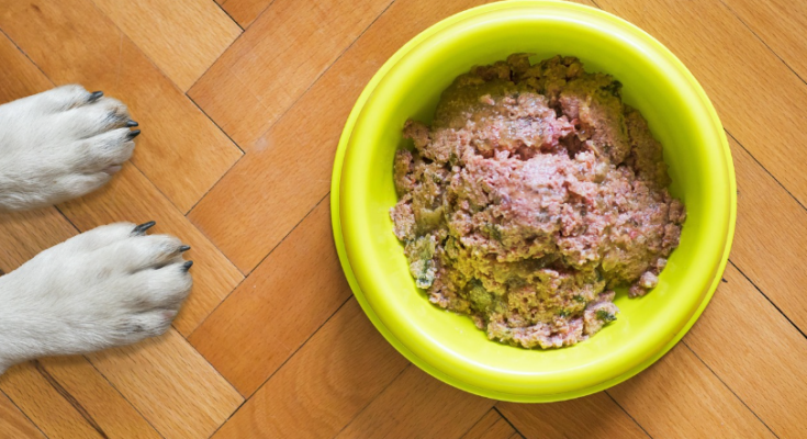 How to Measure Pet Food Portions Correctly