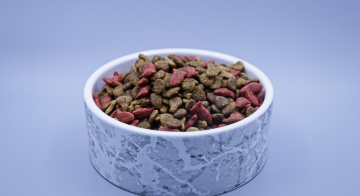 Wet Dog Food vs Dry Dog Food for Daily Meals